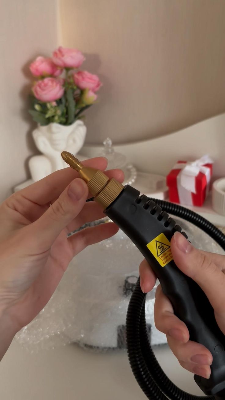 Steam cleaner for the home